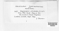 Image Associated With the Occurence